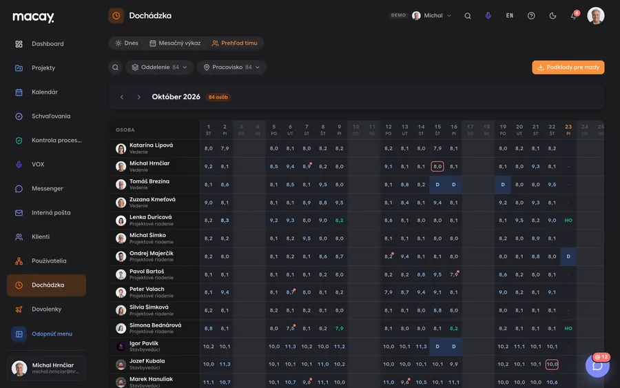 Monthly team overview in the Attendance module